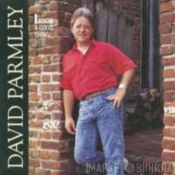 David Parmley - I Know A Good Thing