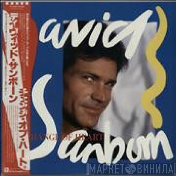  David Sanborn  - A Change Of Heart