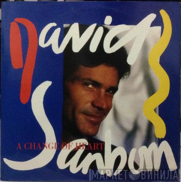  David Sanborn  - A Change Of Heart