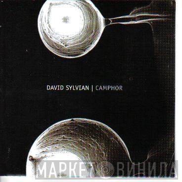  David Sylvian  - Camphor