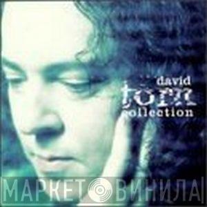  David Torn  - The David Torn Collection