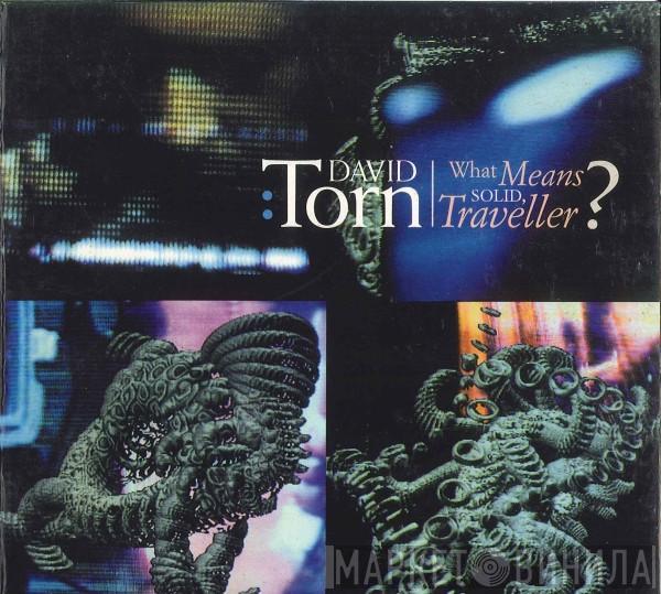 David Torn - What Means Solid, Traveller?