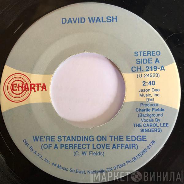 David Walsh  - We're Standing On The Edge (Of A Perfect Love Affair)