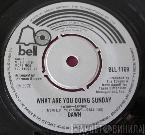 Dawn  - What Are You Doing Sunday