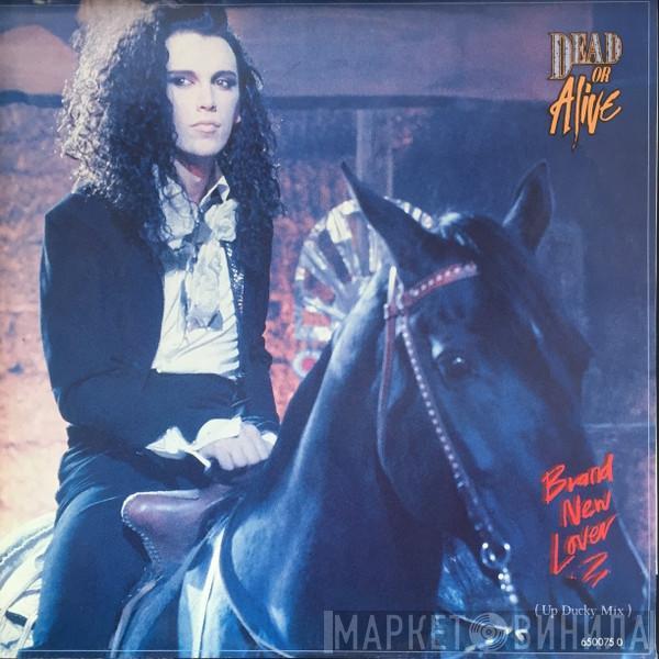  Dead Or Alive  - Brand New Lover (Up Ducky Mix)