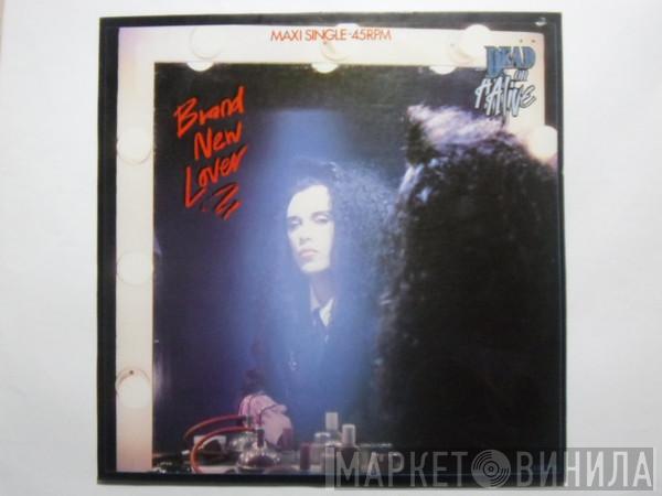  Dead Or Alive  - Brand New Lover