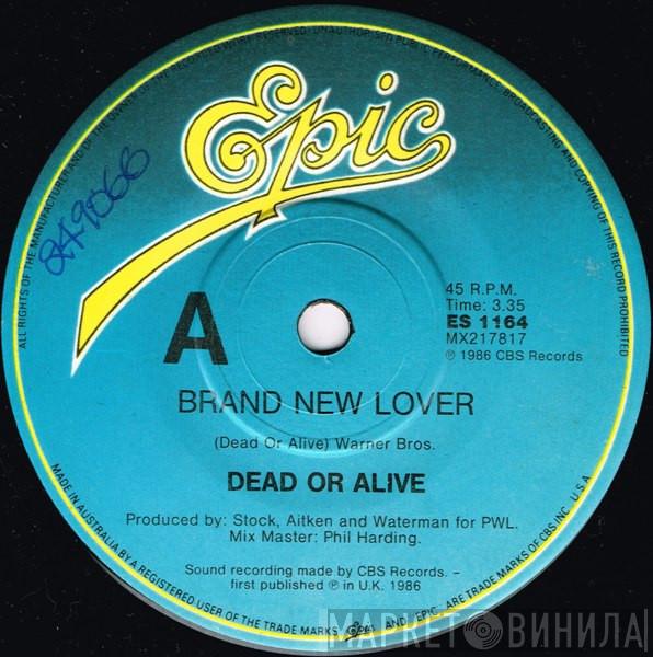  Dead Or Alive  - Brand New Lover