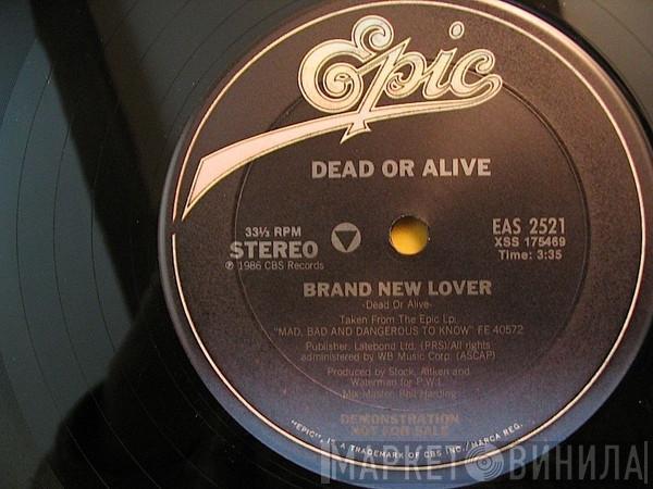  Dead Or Alive  - Brand New Lover