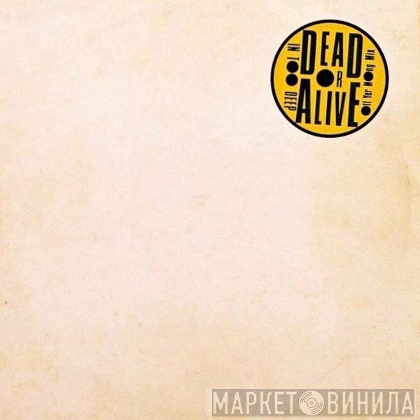  Dead Or Alive  - In Too Deep (Off Yer Mong Mix)