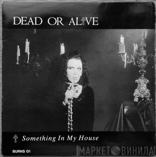 Dead Or Alive - Something In My House