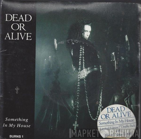 Dead Or Alive  - Something In My House
