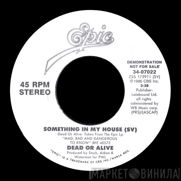  Dead Or Alive  - Something In My House