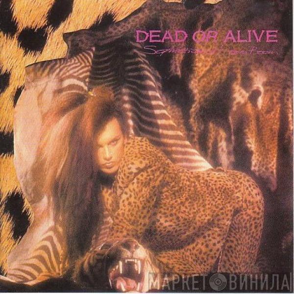  Dead Or Alive  - Sophisticated Boom Boom