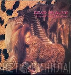  Dead Or Alive  - Sophisticated Boom Boom