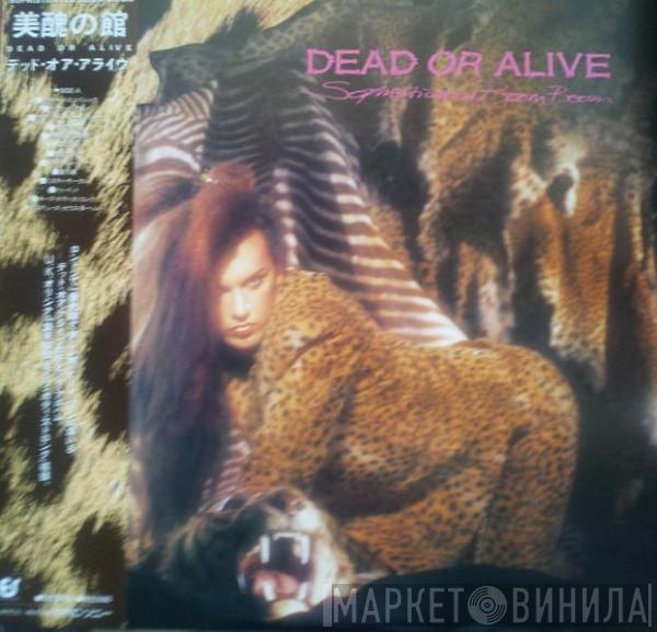  Dead Or Alive  - Sophisticated Boom Boom