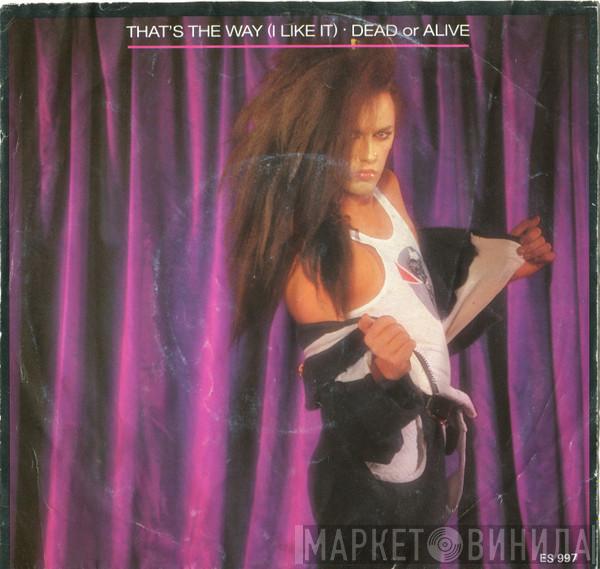  Dead Or Alive  - That's The Way (I Like It)