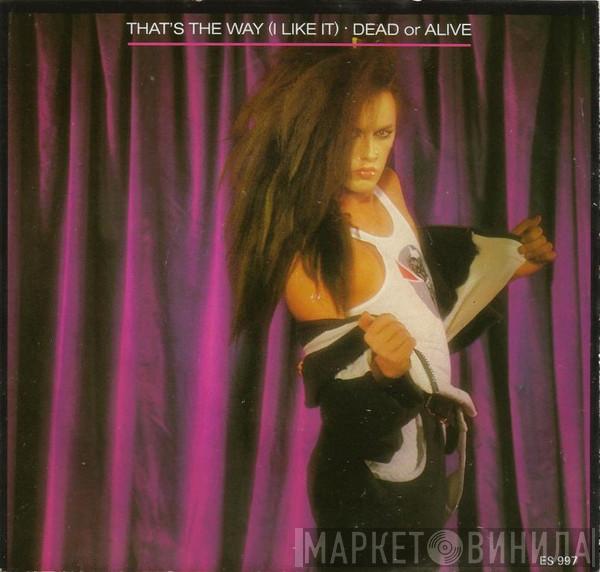  Dead Or Alive  - That's The Way (I Like It)