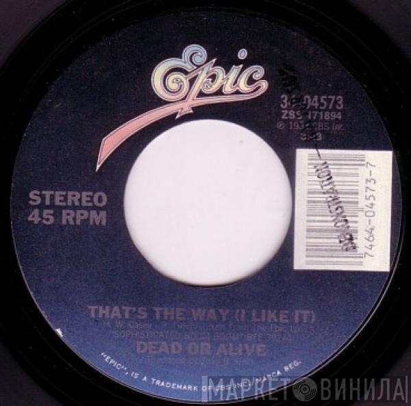 Dead Or Alive  - That's The Way (I Like It)