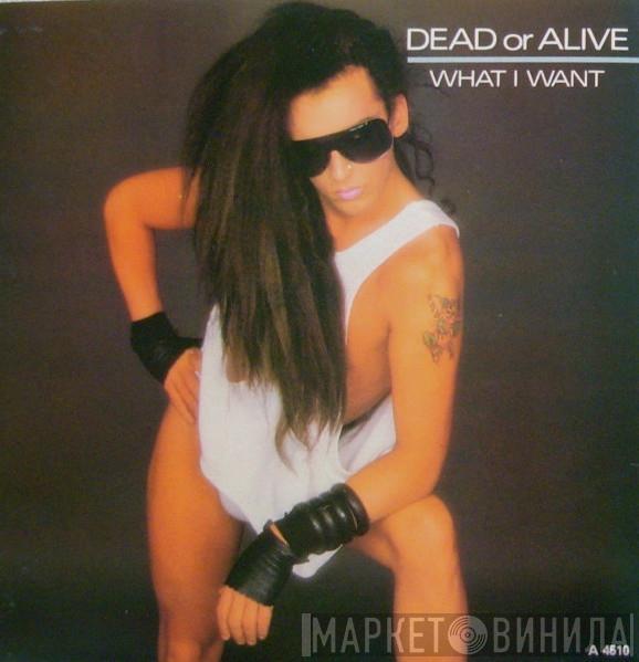 Dead Or Alive - What I Want