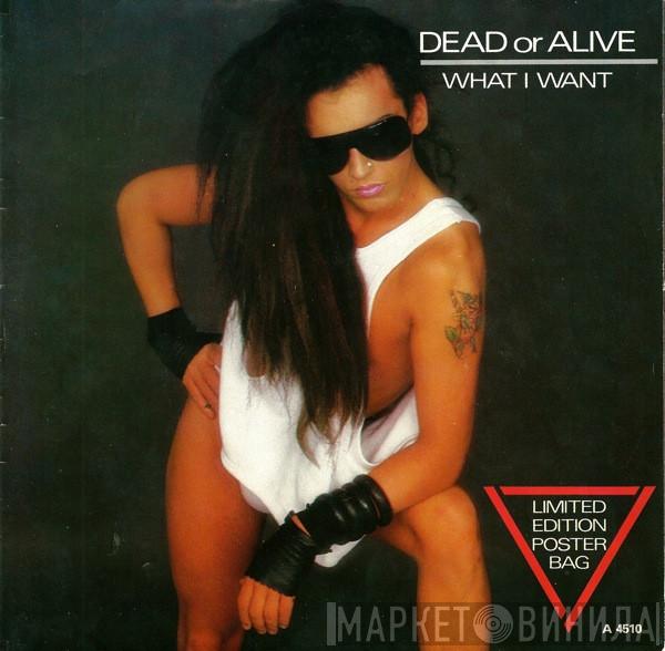  Dead Or Alive  - What I Want