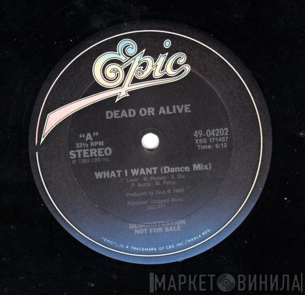 Dead Or Alive - What I Want