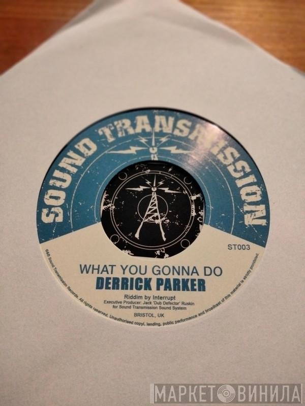 Derrick Parker, Tippa Lee - What You Gonna Do / Dash Dem Weh