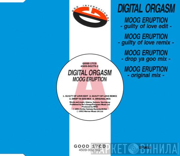  Digital Orgasm  - Moog Eruption
