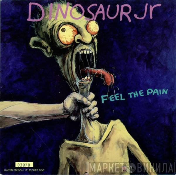 Dinosaur Jr. - Feel The Pain
