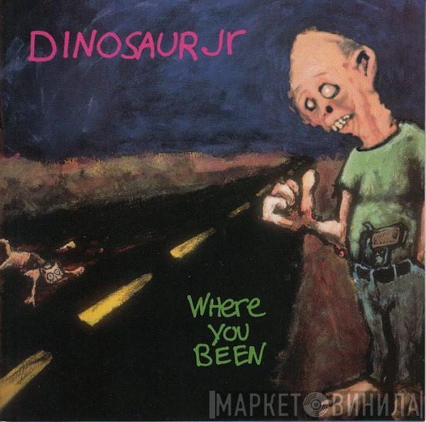  Dinosaur Jr.  - Where You Been