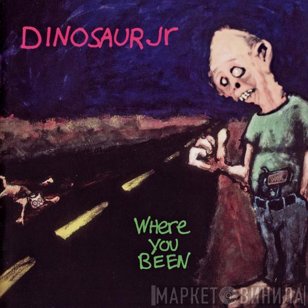  Dinosaur Jr.  - Where You Been