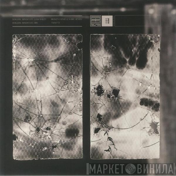 Dogger , Mindstate  - Broken Home (Calibre Remix) / TMWFTE