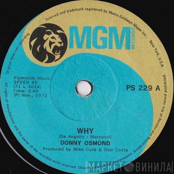  Donny Osmond  - Why