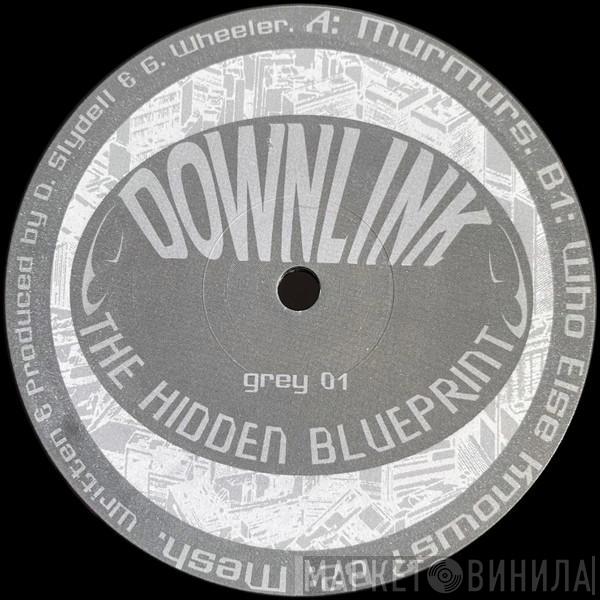 Downlink - The Hidden Blueprint