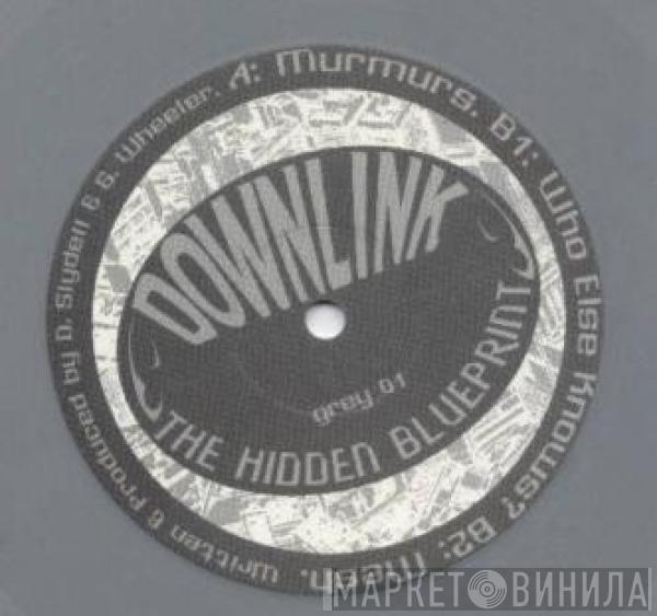  Downlink  - The Hidden Blueprint