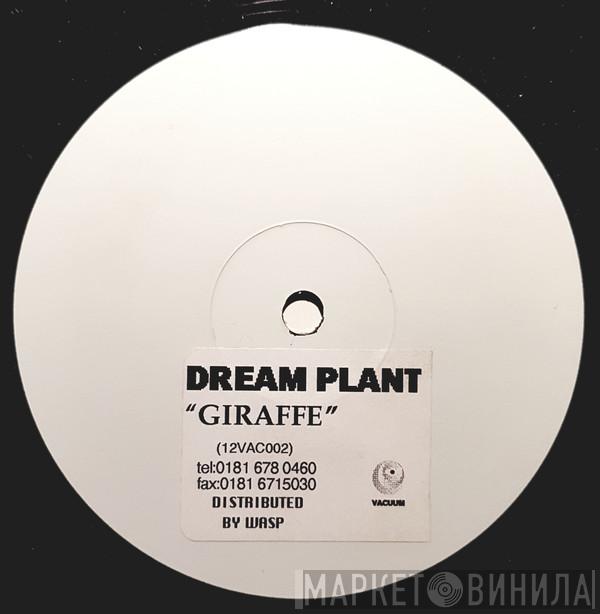 Dream Plant - Giraffe