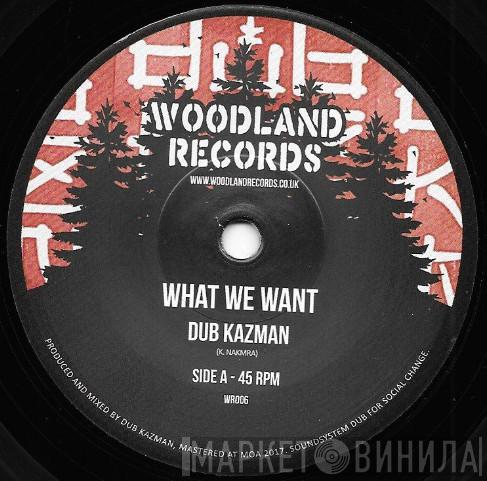 Dub Kazman - What We Want