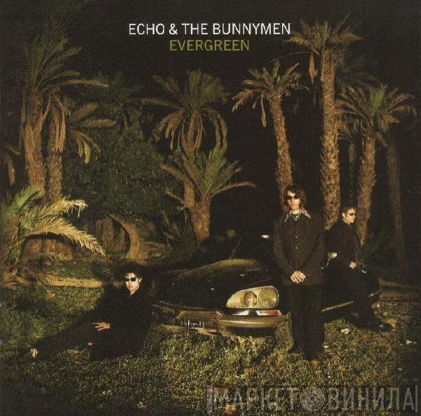  Echo & The Bunnymen  - Evergreen