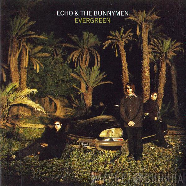  Echo & The Bunnymen  - Evergreen