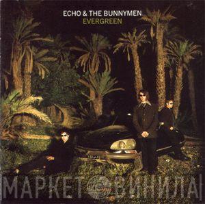  Echo & The Bunnymen  - Evergreen