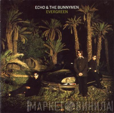  Echo & The Bunnymen  - Evergreen