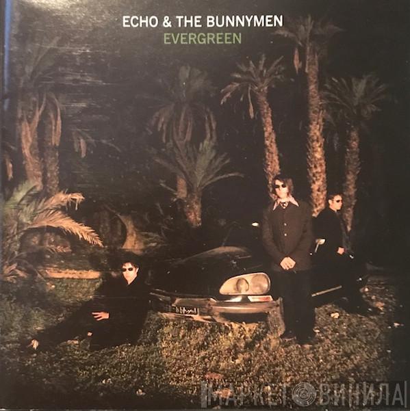  Echo & The Bunnymen  - Evergreen
