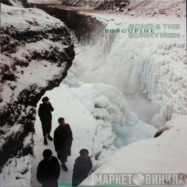  Echo & The Bunnymen  - Porcupine