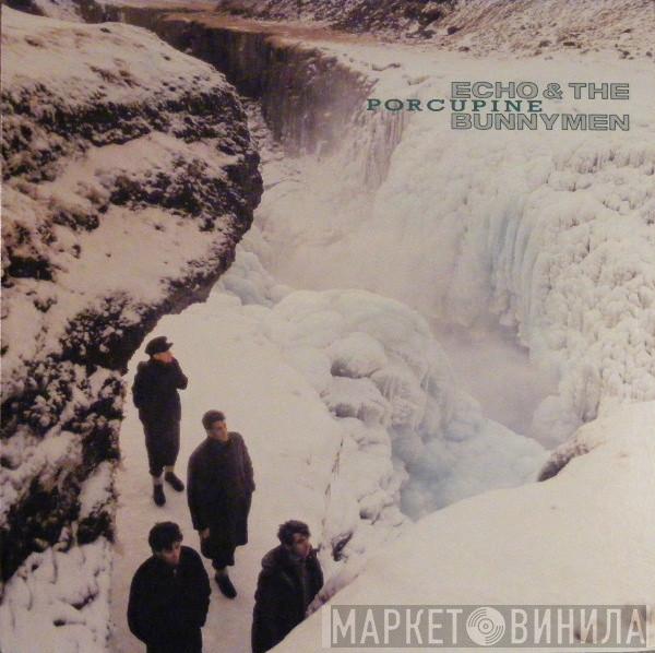  Echo & The Bunnymen  - Porcupine