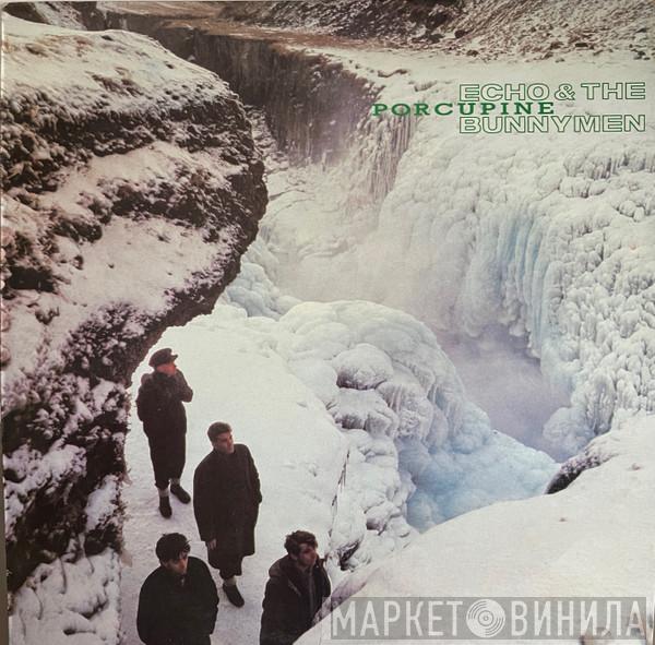  Echo & The Bunnymen  - Porcupine