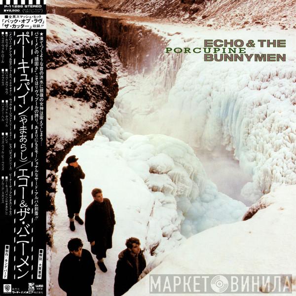  Echo & The Bunnymen  - Porcupine