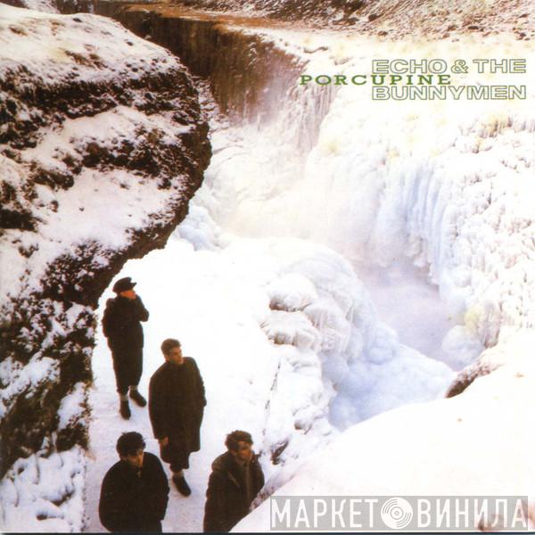  Echo & The Bunnymen  - Porcupine