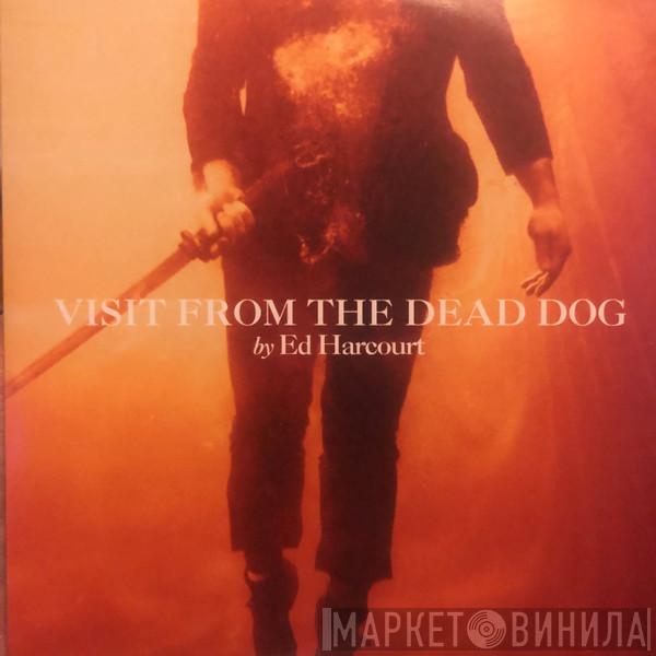  Ed Harcourt  - Visit From The Dead Dog