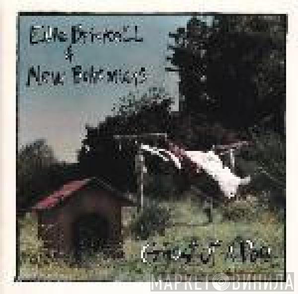  Edie Brickell & New Bohemians  - Ghost Of A Dog