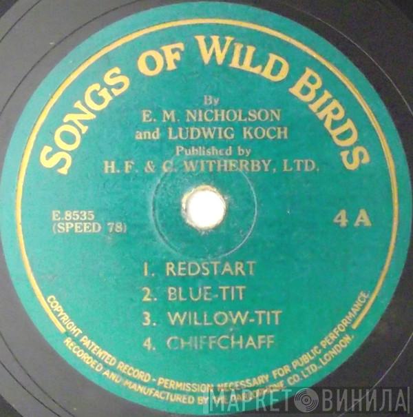 Edward Max Nicholson, Ludwig Koch - Songs Of Wild Birds 4