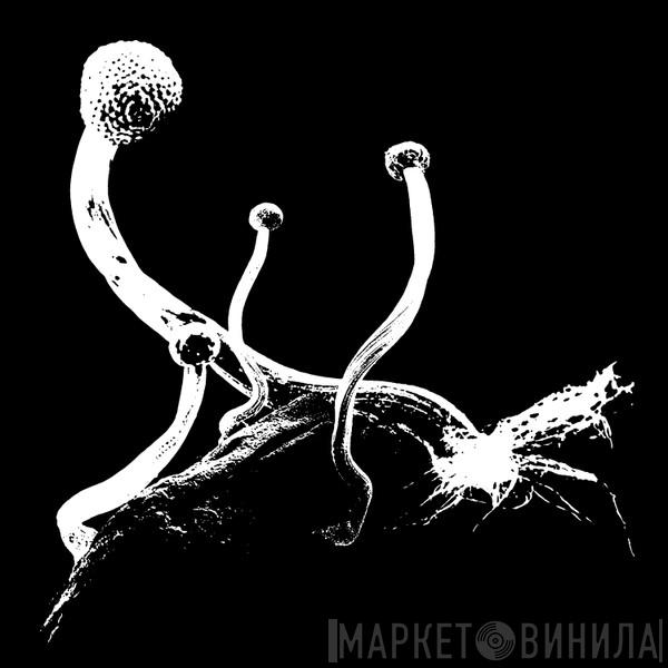 Ekman - Panisch / Nuance